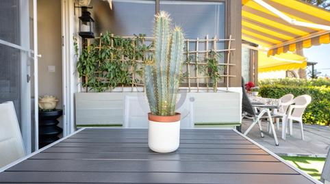 Photo 5 of House or chalet to rent in Calle Princesa Guayarmina, Arguineguín, Las Palmas