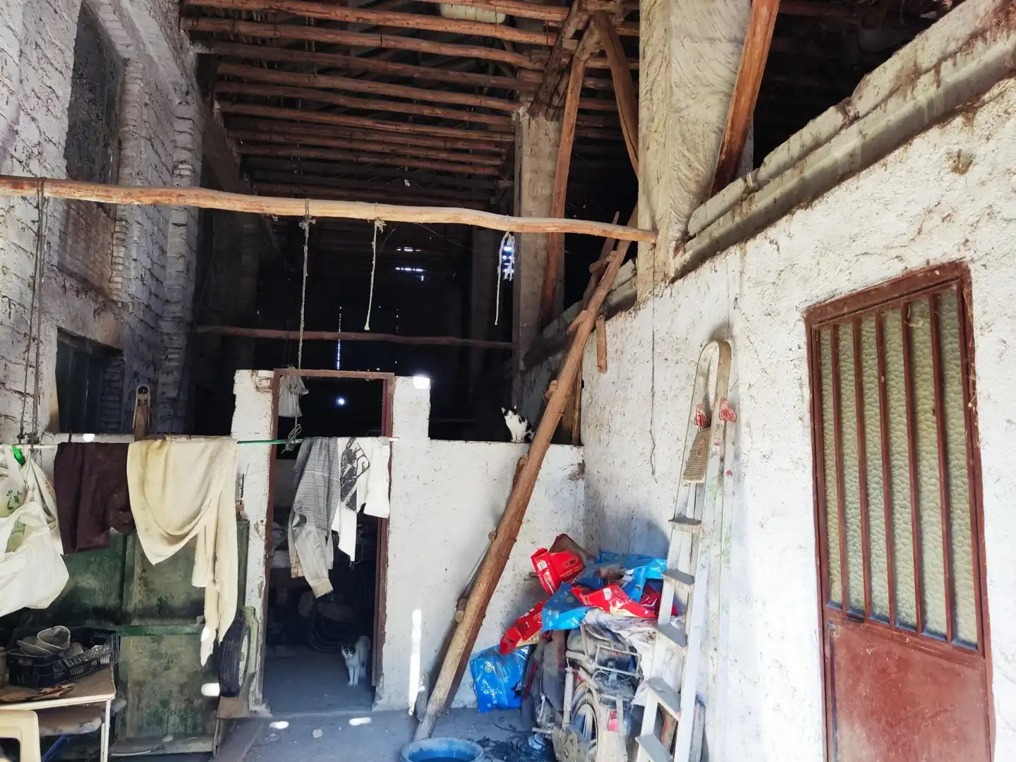 Terreno rústico en venta en MOLINILLO, imagen 11