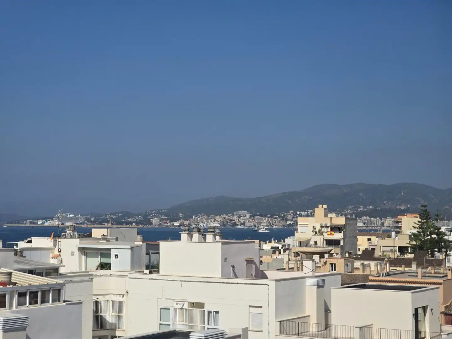 Vista exterior de Pis en venda en  Palma de Mallorca amb Aire condicionat, Parquet i Balcó