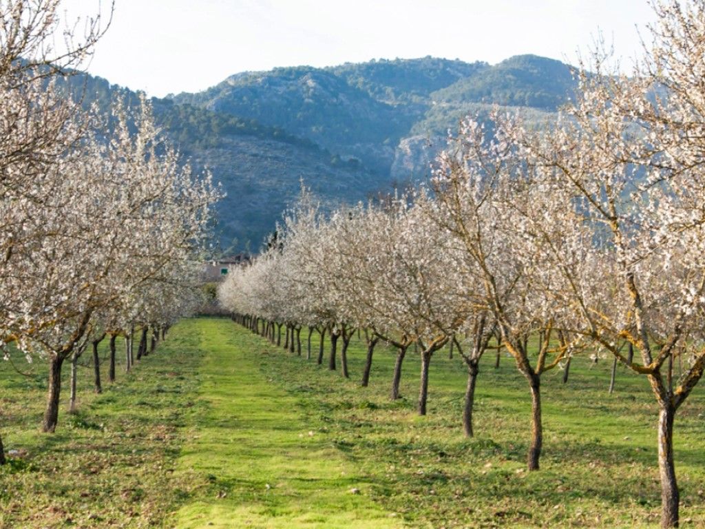 Vista exterior de Residencial en venta en Santa Eugènia
