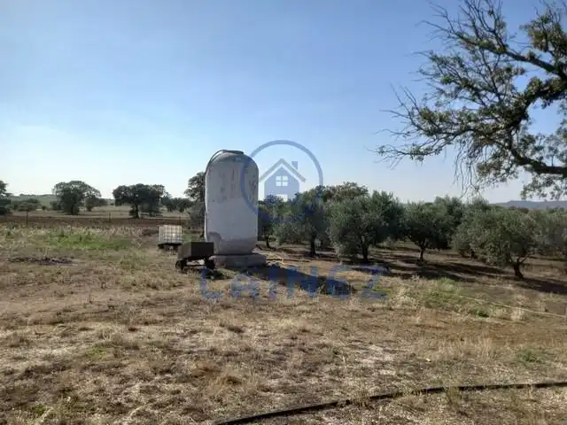 Rural land for sale in Fuente Obejuna, imagen 16
