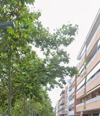 Exterior view of Flat for sale in Santa Coloma de Farners