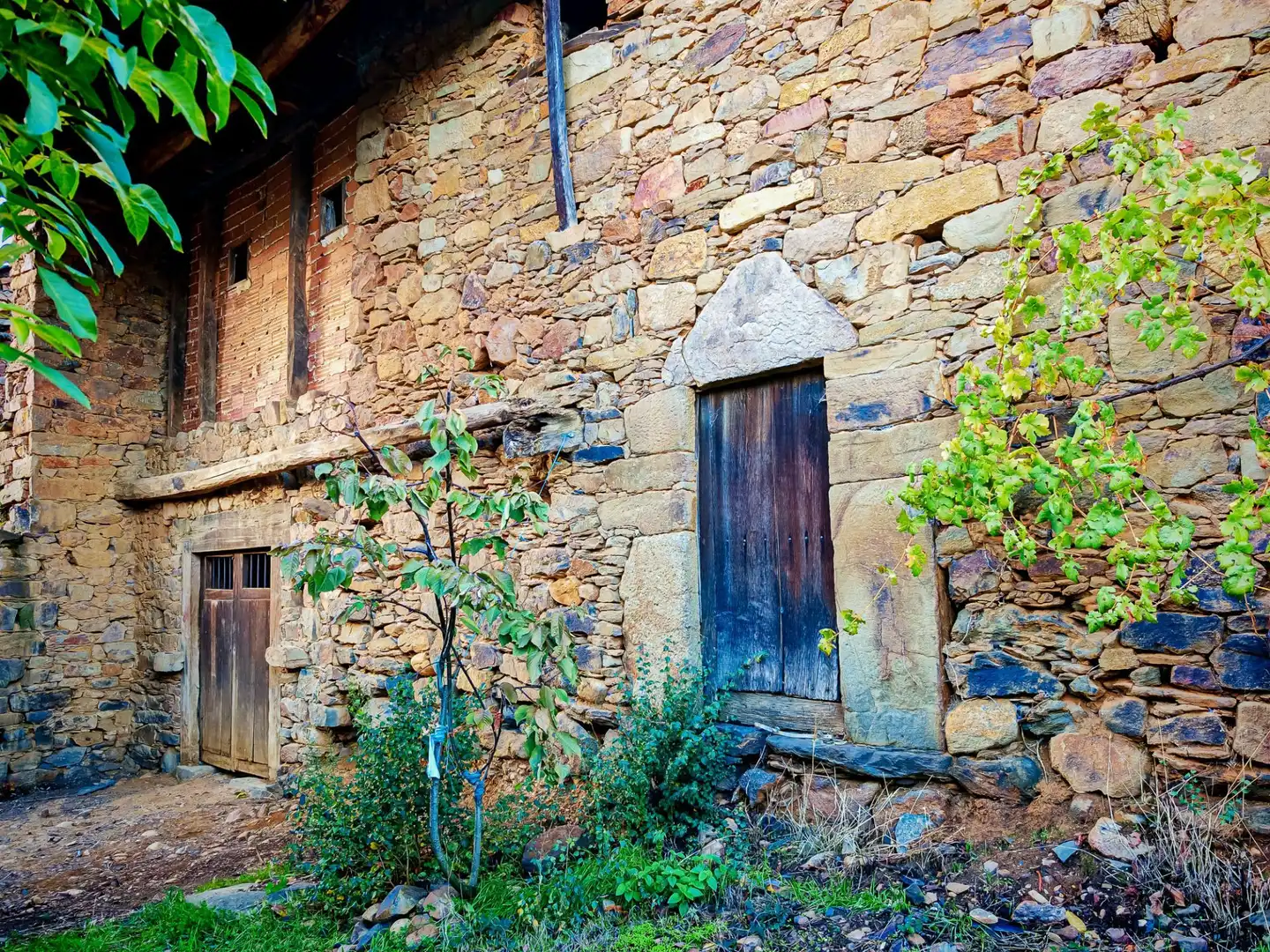 Vista exterior de Finca rústica en venda en Toreno