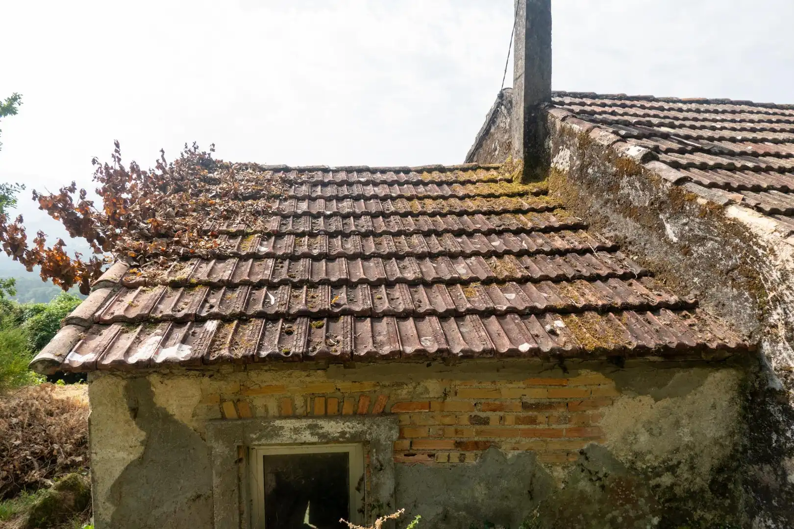 Vista exterior de Finca rústica en venda en Arbo amb Jardí privat