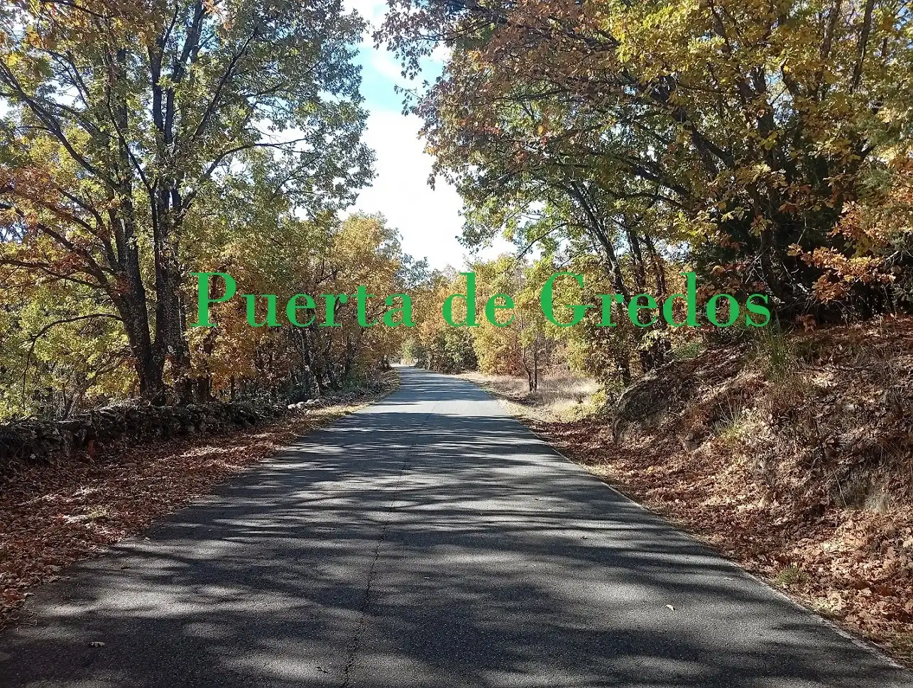 Exterior view of Houses for sale in Nava del Barco  with Heating, Parquet flooring and Furnished