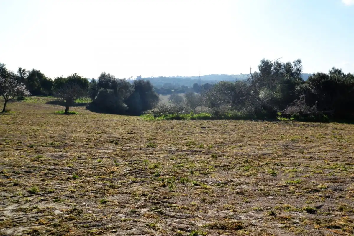 Casa rústica en venta en Llubí, imagen 12