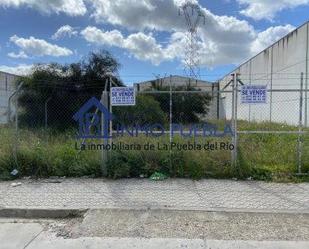 Vista exterior de Terreny industrial en venda en La Puebla del Río