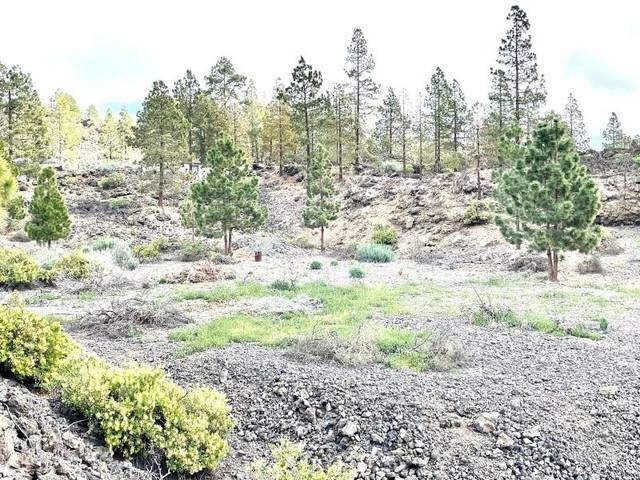 Terreno residencial en Venta en Guía de Isora interior