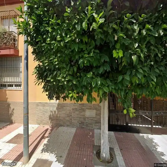 Vista exterior de Casa o chalet en venta en La Rinconada