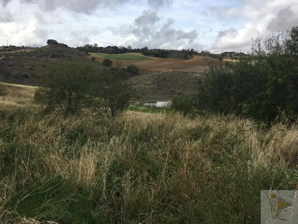 Grundstücke und Bauplätze zum Verkauf in CL OLIVILLA, imagen 4
