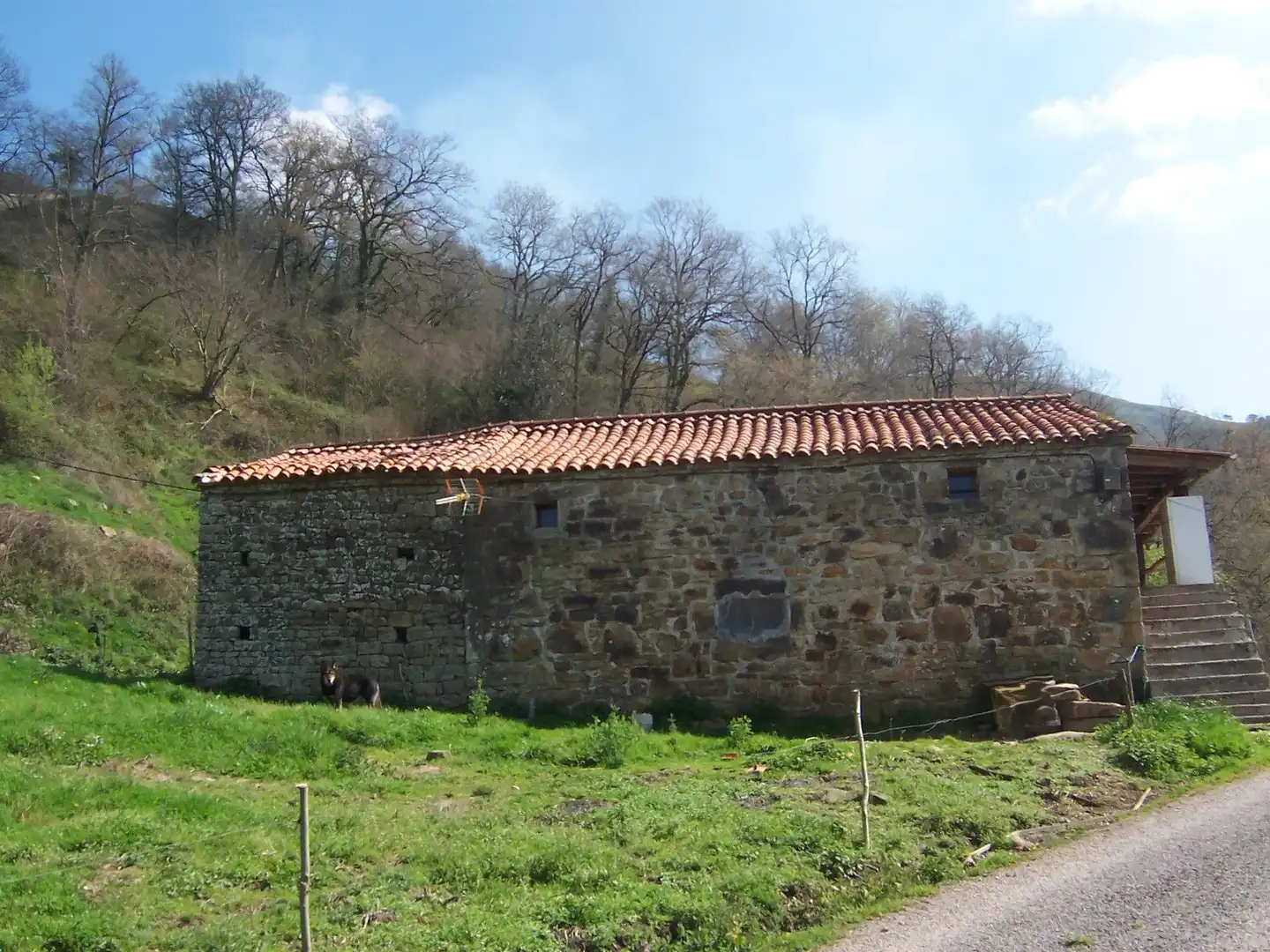 Vista exterior de Casa o chalet en venta en Saro