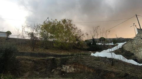 LOJA (Granada). Paraje Carmen de los Ángeles.