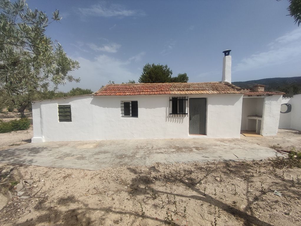 Exterior view of House or chalet for sale in Ibi