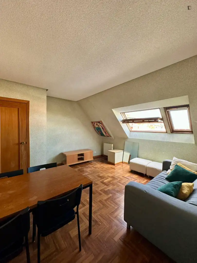 Sala d'estar de Apartament de lloguer en Madrid amb Calefacció, Moblat i Forn