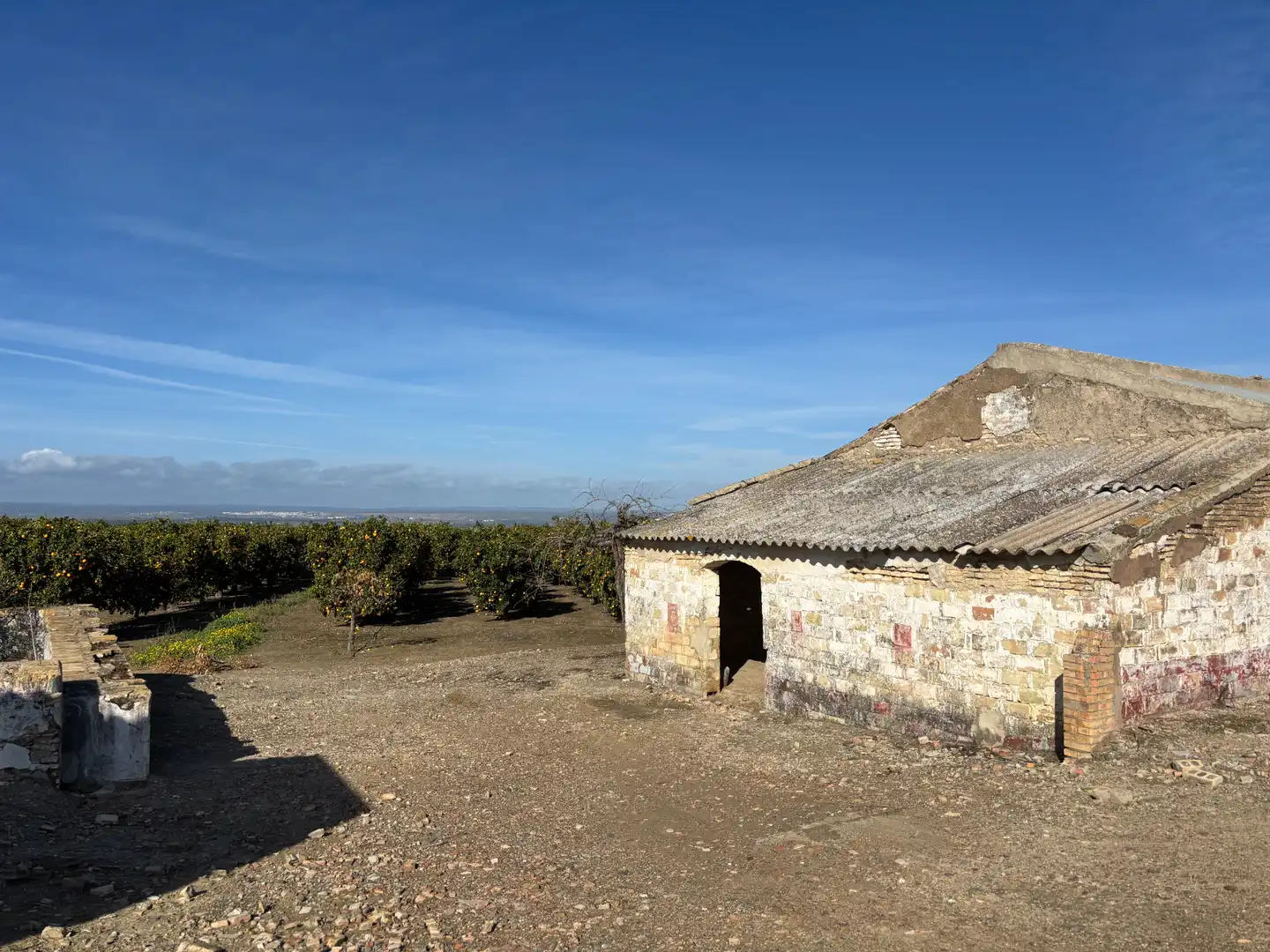 Exterior view of Land for sale in Sanlúcar la Mayor
