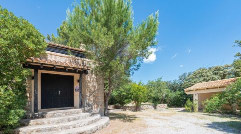 Foto 3 de Finca rústica en venta en Pollença Poble, Pollença