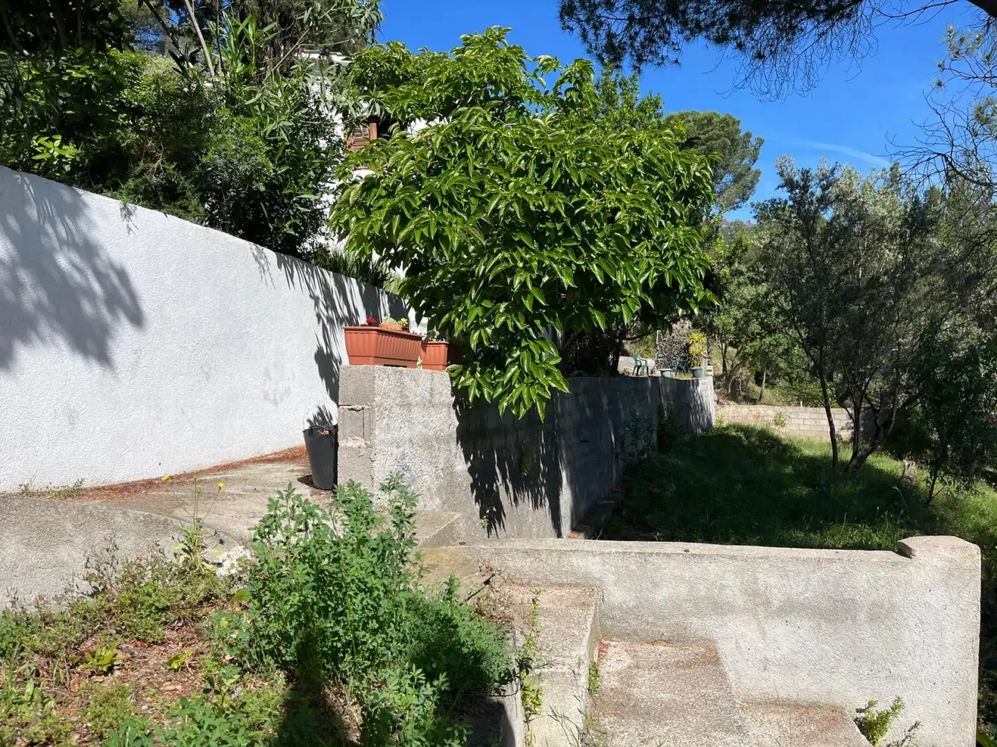 Casa amb jardí en venda a Circumval·lacio, imagen 3