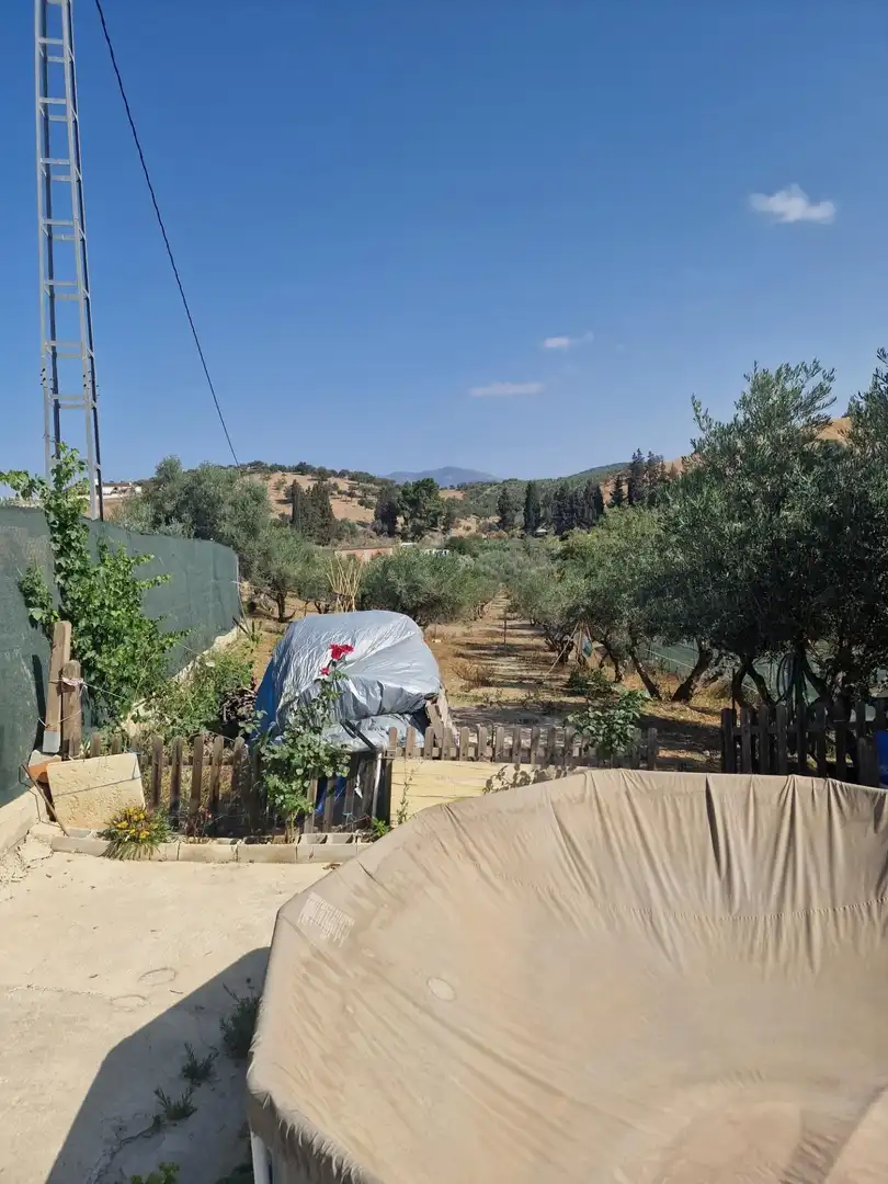 Terreni e lotti in vendita a Coín, imagen 15