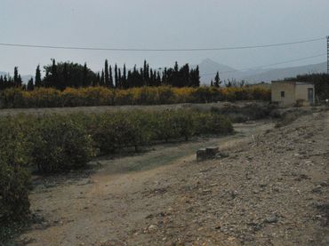 Terreny rústic en venda a Agost