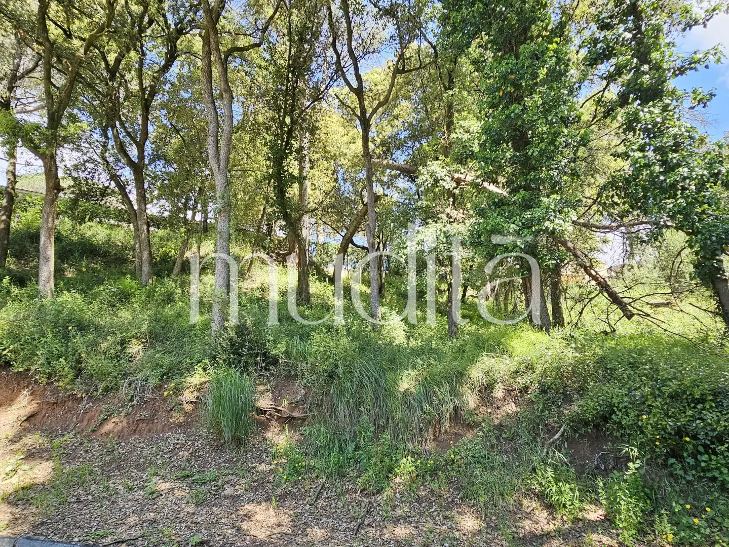 Residential land for sale in Sant Pere de Vilamajor, imagen 21