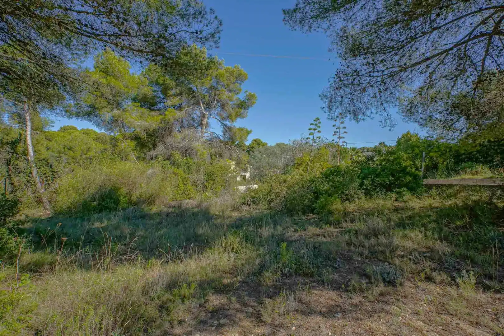 Residential land for sale in Centro ciudad, imagen 9