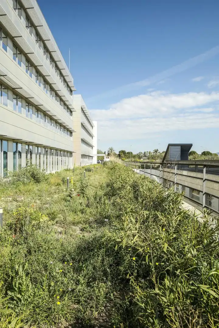 Office space with lift to rent in Sant Cosme - La Granja, imagen 30