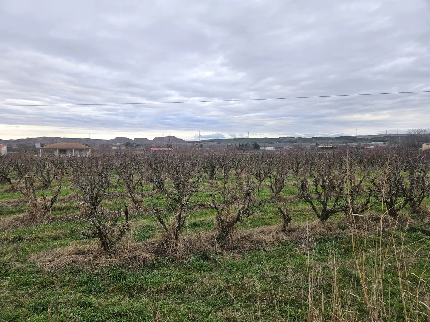 Land for sale in Lodosa