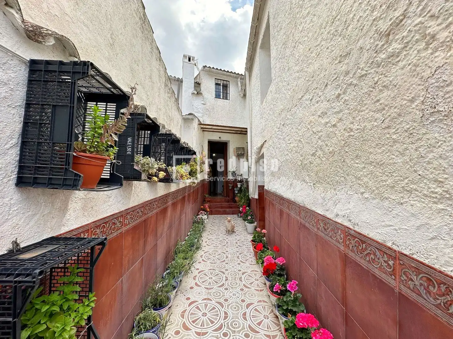 Vista exterior de Casa o chalet en venta en Colmenar con Calefacción, Jardín privado y Terraza