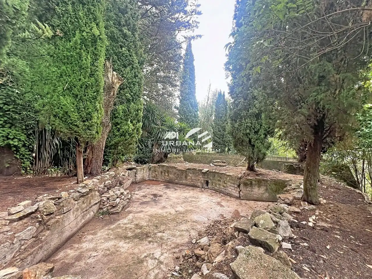 Jardín de Casa o chalet en venta en Rute, Córdoba