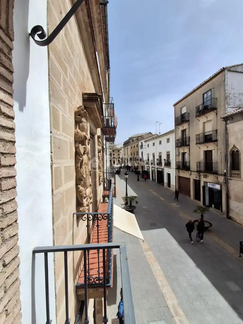 Vista exterior de Pis en venda en Baeza amb Aire condicionat, Calefacció i Terrassa