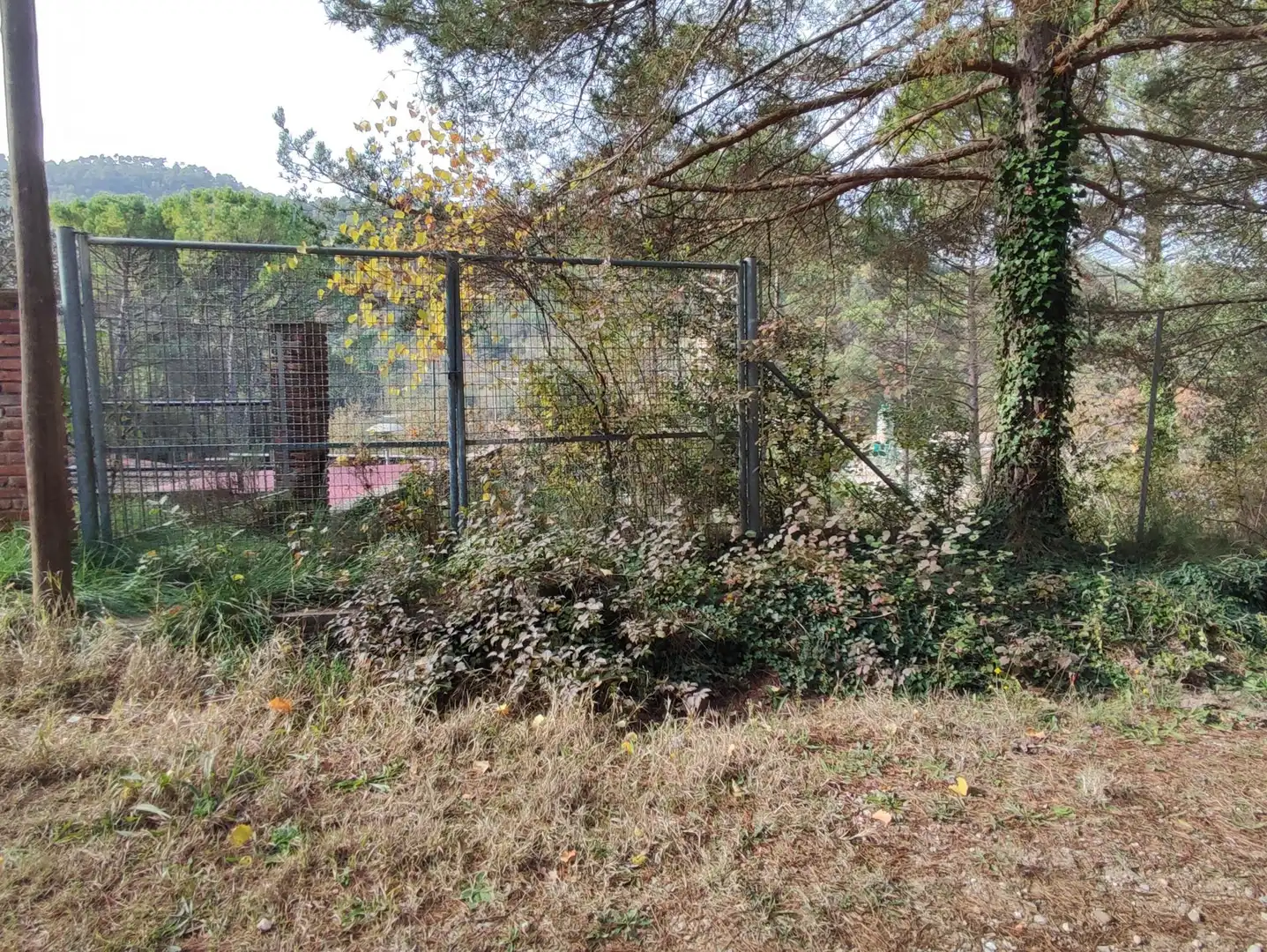 Terrain rustique à vendre à Monistrol de Calders, imagen 12