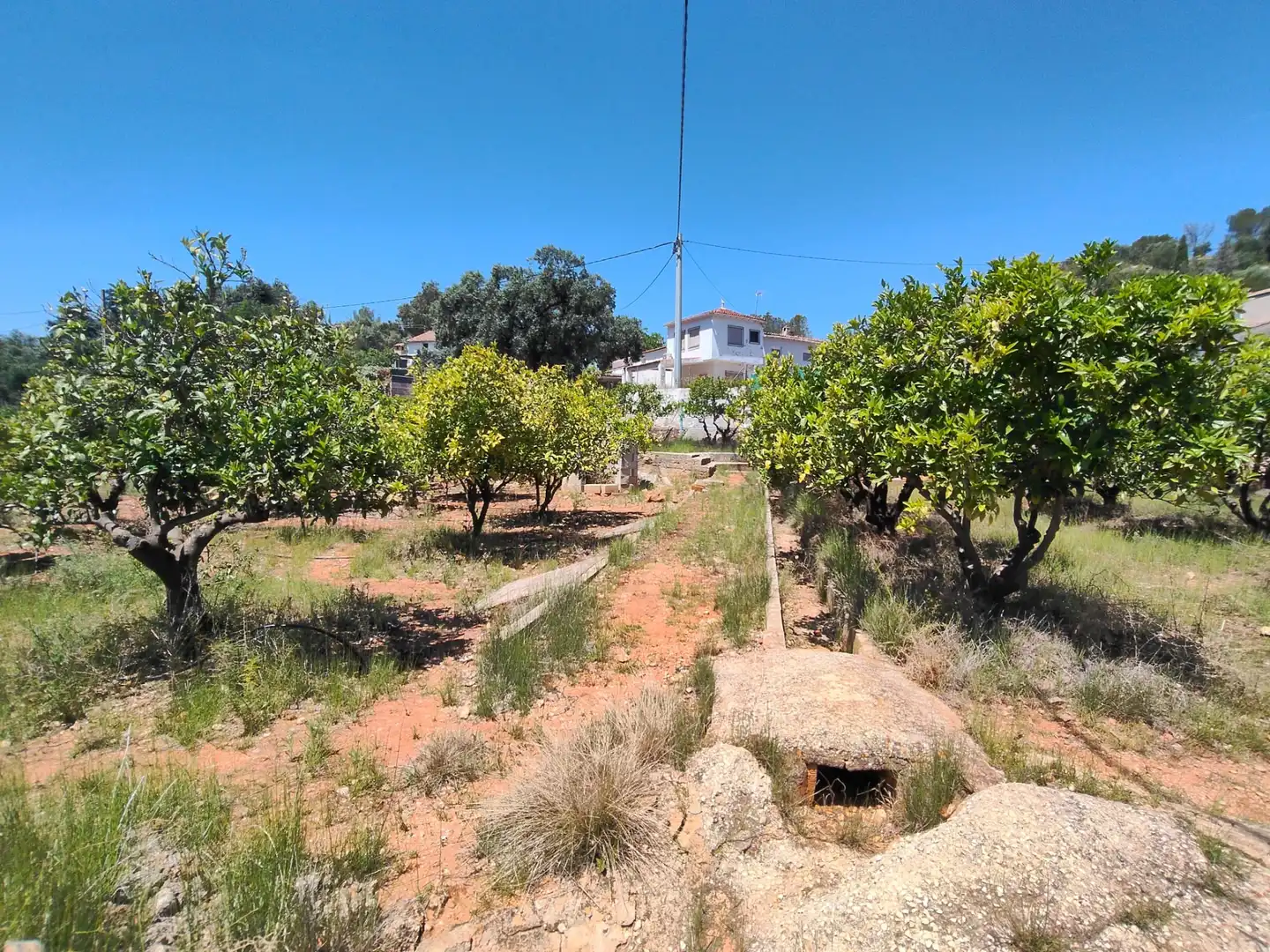 Finca rústica en venda en Simat de la Valldigna amb Jardí privat, Traster i Piscina