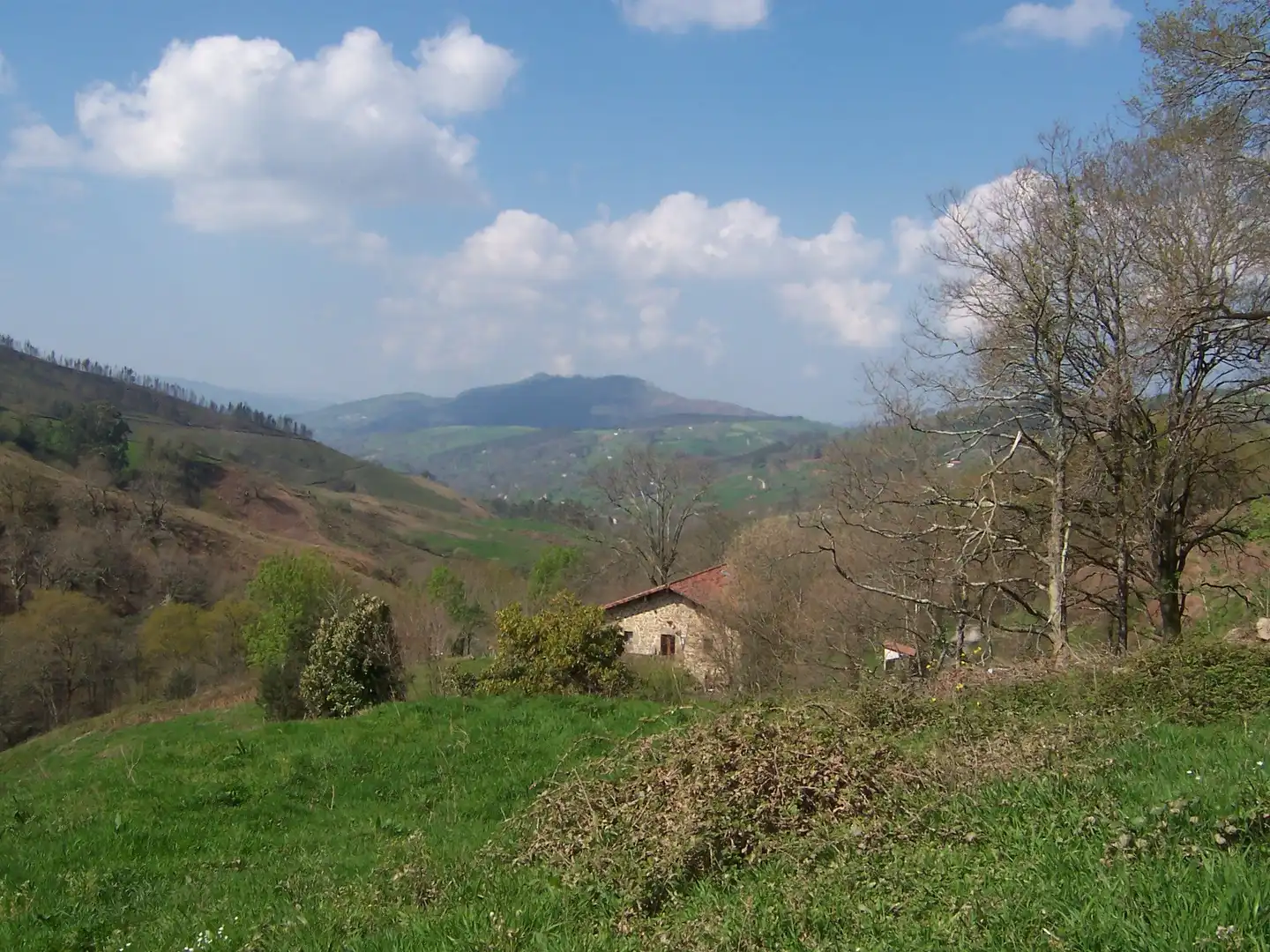 Casa o chalet en venta en Saro