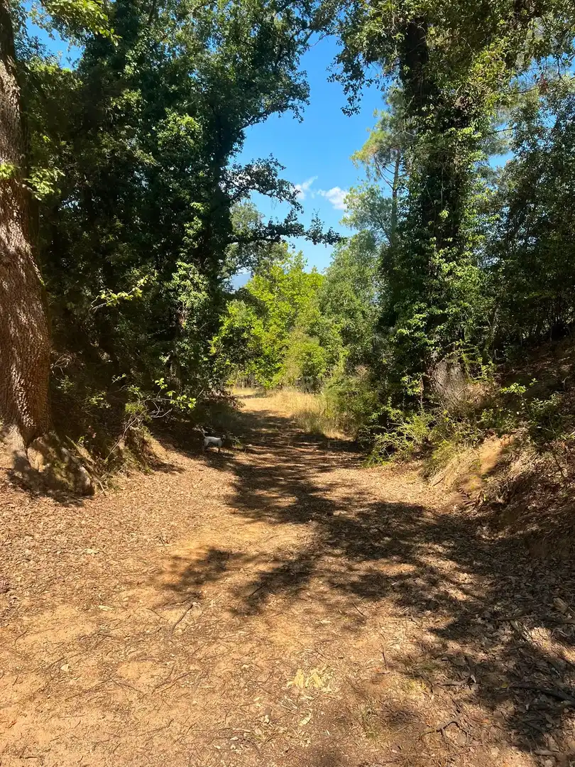 Flat for sale in Sant Celoni