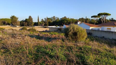 Foto 3 de Casa o xalet en venda a Camino Camino de la Cepa, Las Lagunas - Campano, Cádiz