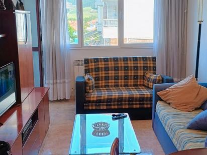 Living room of Flat for sale in Meruelo  with Heating, Terrace and Furnished
