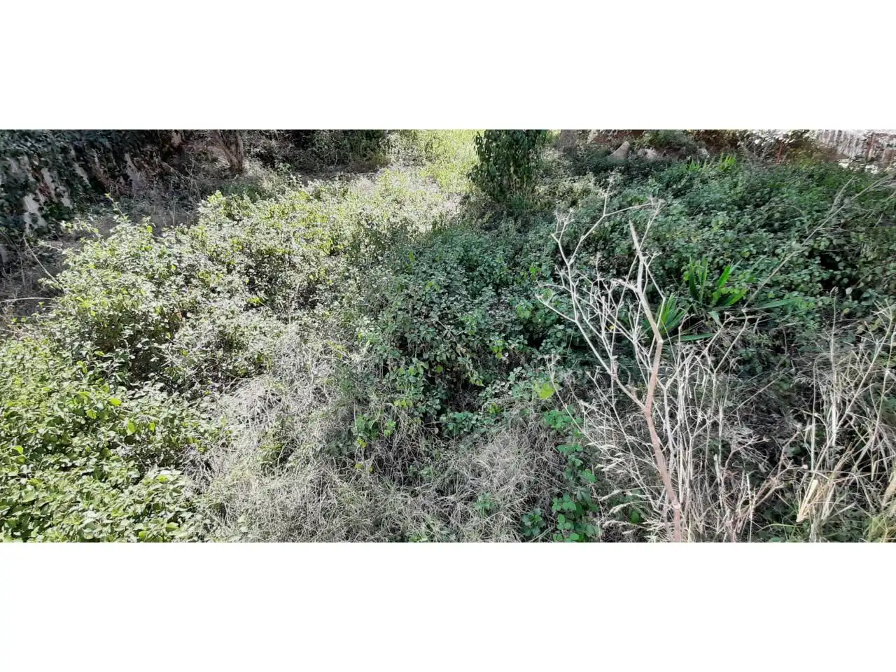 Terrain rustique à vendre à Calle GOYA 28, imagen 4