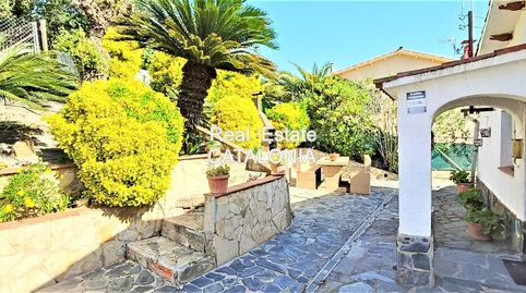 Foto 4 de Casa o chalet en venta en Carrer de la Selva, Lloret Verd - Els Pinars, Lloret de Mar