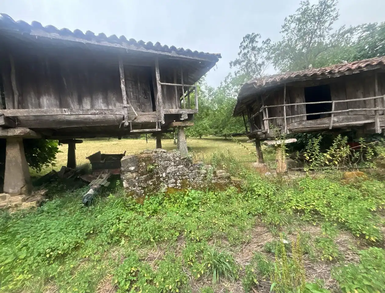 Vista exterior de Finca rústica en venda en Gijón  amb Jardí privat