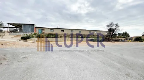 Foto 5 de Finca rústica en venta en Pla de la Vallonga, Alicante / Alacant