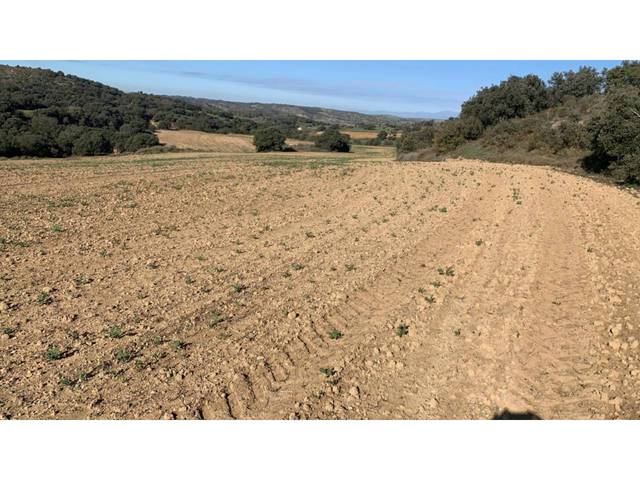 Terreno en Venta en San Esteban de Litera