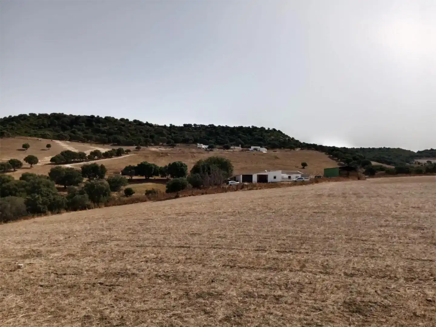 Country house zum Verkauf in Vejer de la Frontera