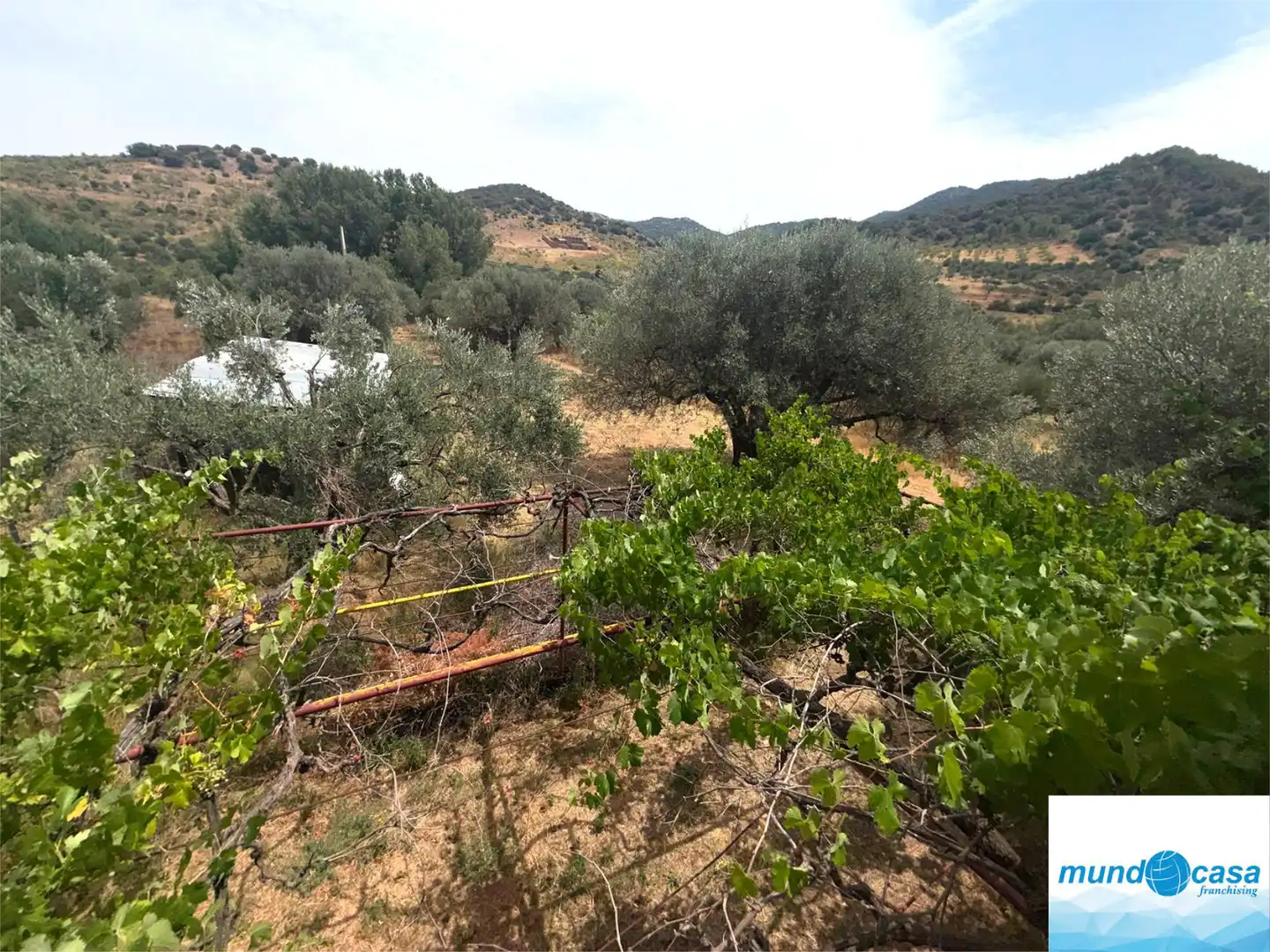 Finca rústica en venda en Morata de Jalón amb Piscina comunitària
