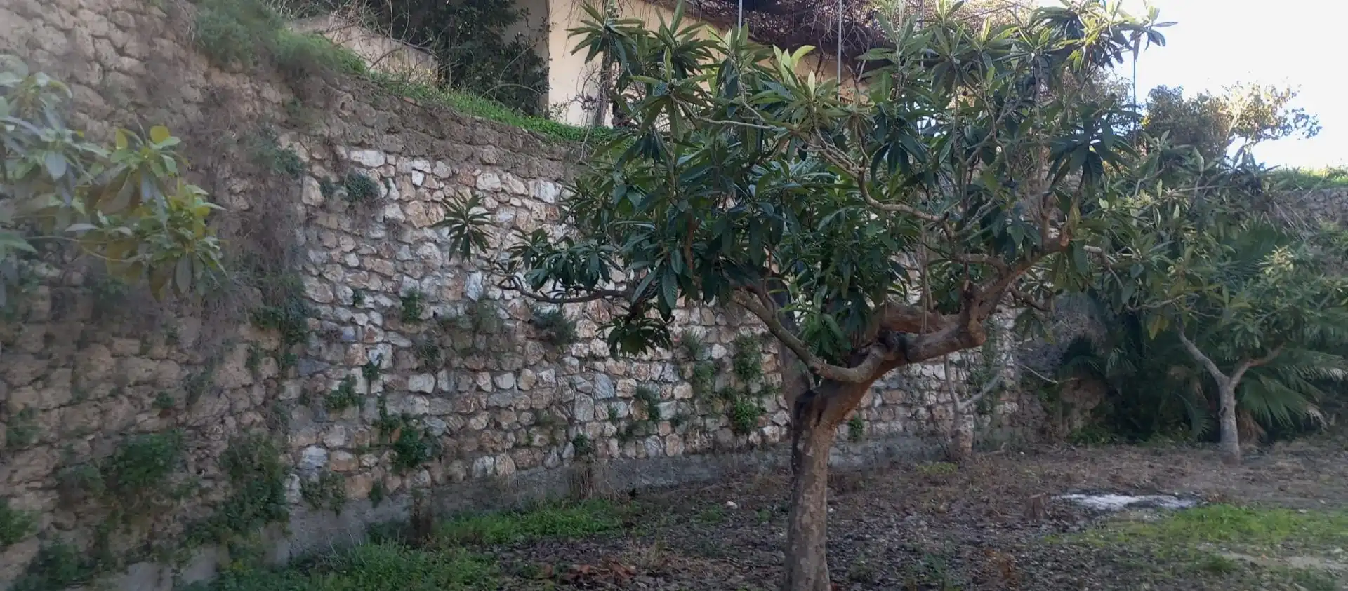 Casa rústica amb jardí en venda a Vélez de Benaudalla, imagen 10