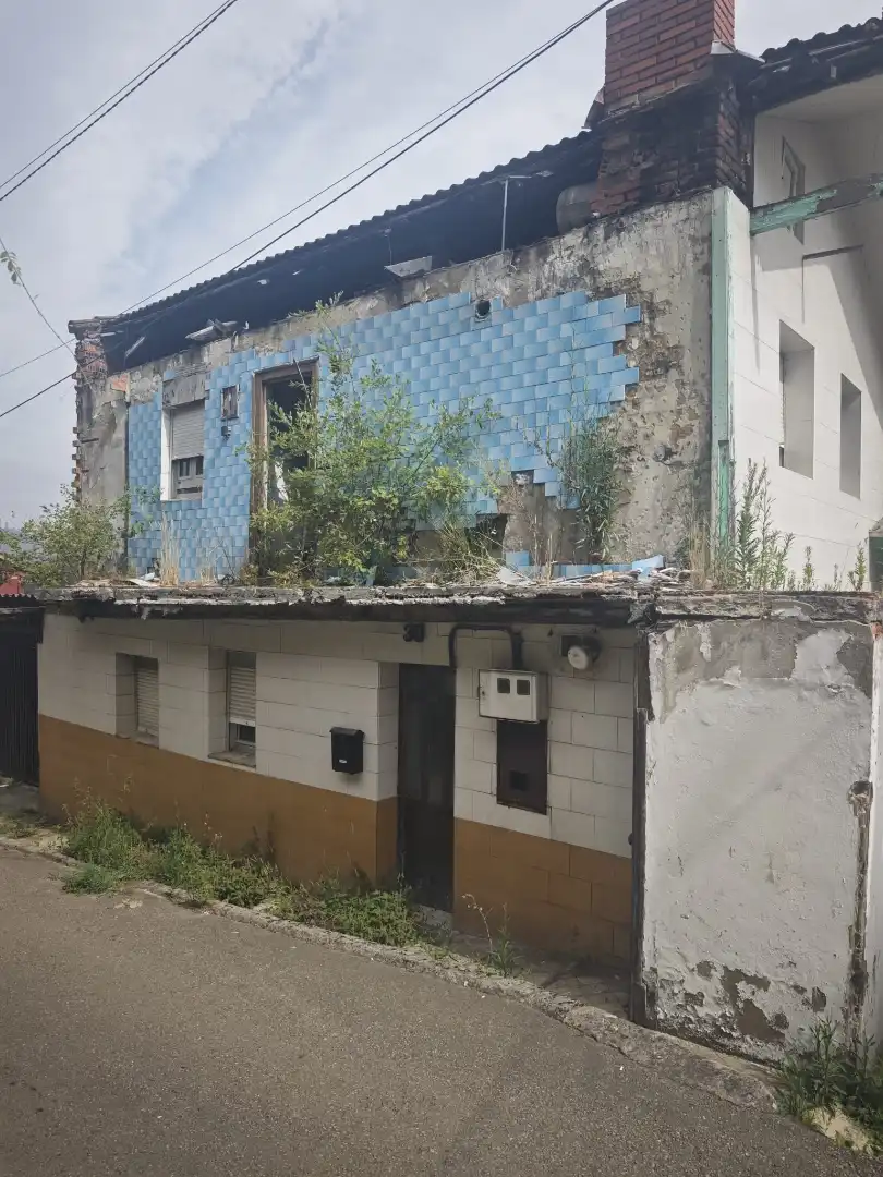 Vista exterior de Finca rústica en venda en Mieres (Asturias) amb Jardí privat i Traster
