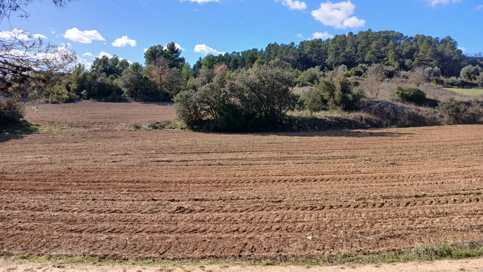 Terreni e lotti in vendita a Lledó, imagen 11