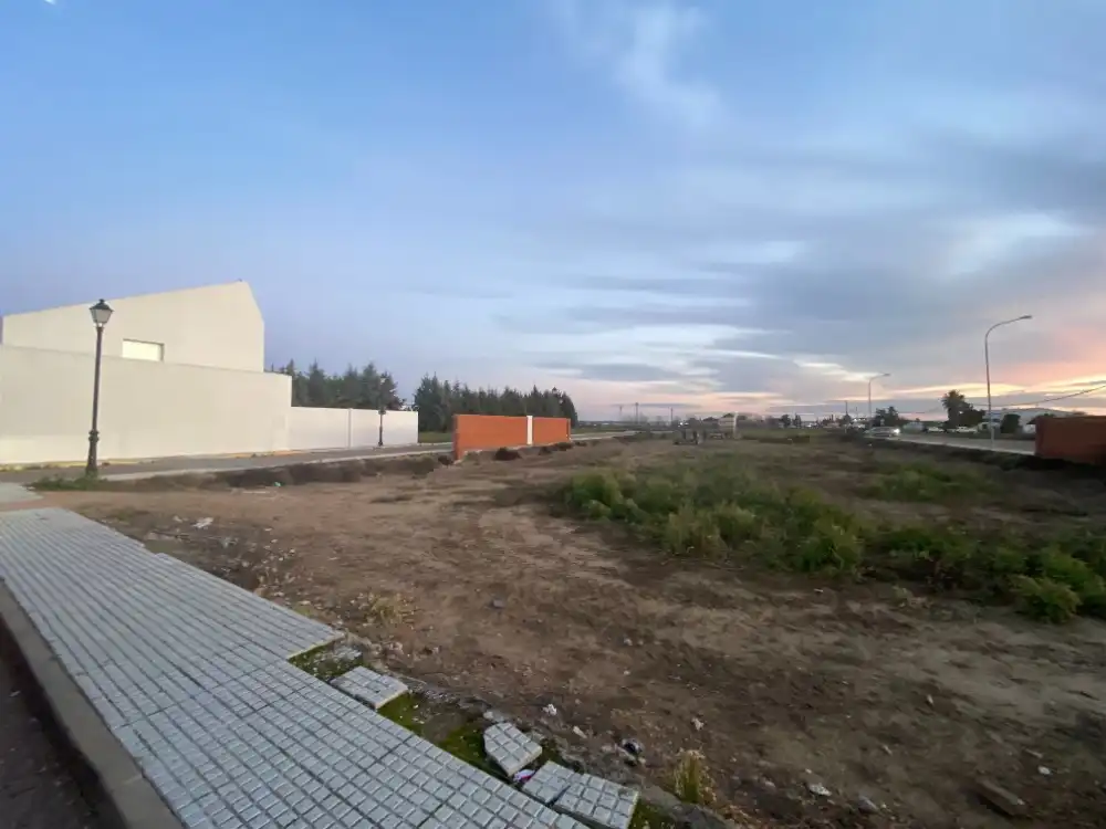 Land for sale in Montijo