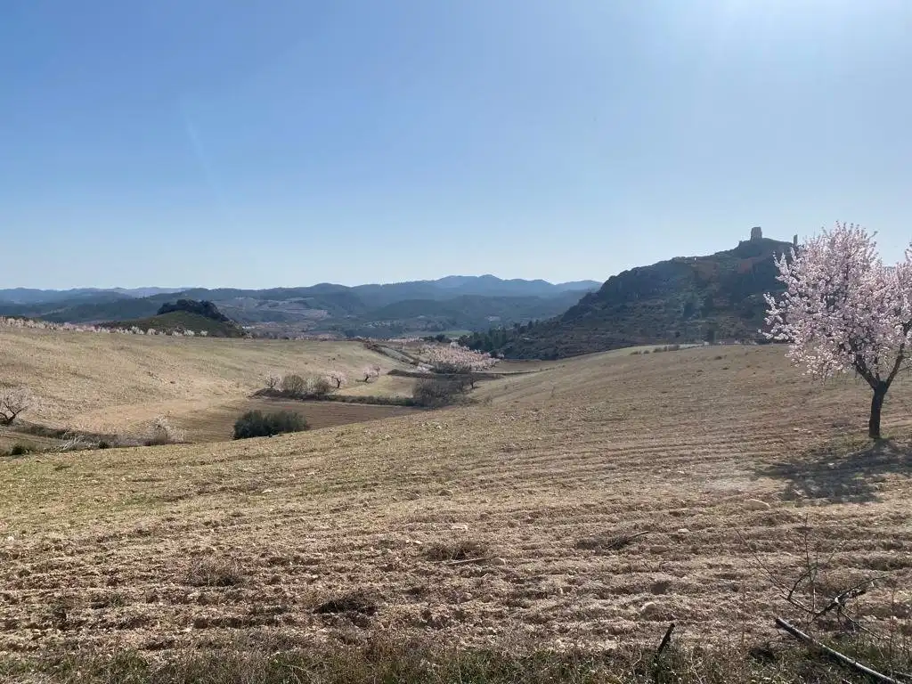 Finca rústica en venta en Lorca con Terraza