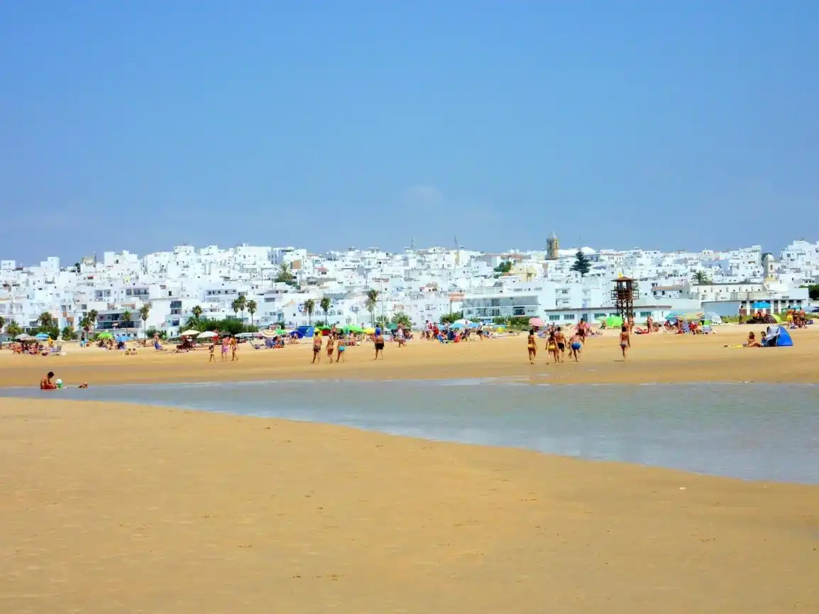 Rural land for sale in Conil, imagen 16