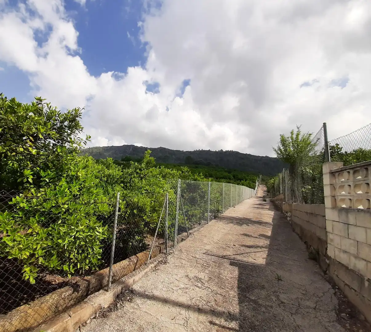 Terrenos y solares en venta en Urbanitzacions i Pedanies Sud, imagen 13
